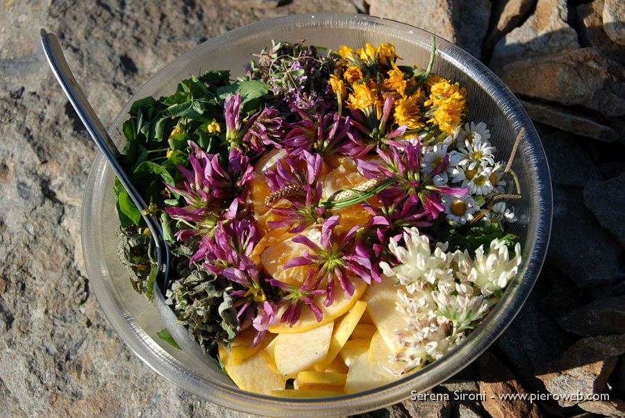 15 ...ed ecco una magnifica insalata di frutta e fiori spontanei!.jpg